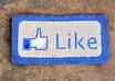 amazingly provide 300+ to 2500+ Facebook Likes to your Facebook Pages or Websites, SAFE Fb Service, Fb Like / fans on Fan Page small2