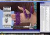 give you software to receive 5000 tv channels on your pc adult channels also free small2