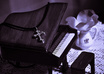 edit 20 photographs using Adobe Lightroom small2