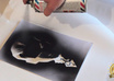 create a stencil from a photo of your portrait and give you the image file or the design originated small2