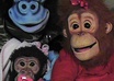 as a Ventriloquist like Jeff Dunham or Puppeteer like the muppets Make an Awesome one of a kind commerical message or greeting small2