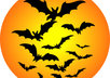 create a Halloween T-shirt for you with your specifications only small2