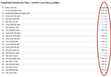 place your URL as a profile web link on a Twitter bio page of an aged active account with over 1300 followers big2