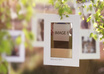 create a photo video gallery small2