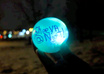 dog Fetch Your Message at Night With Sheeva the Blue Healer She is a Super Dog small2
