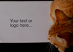 get my cat kitten to pose with your text message or logo as a still photograph small2