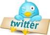 use my Hooter Girl powers and blast my Twitter account 100 times over 5 days telling my friends VISIT your url small2