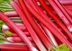 give you my Prize Winning Rhubarb Crunch Recipe small2