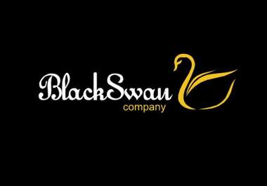design 3 different professional stylish SIGNATURE logos your business or website big2
