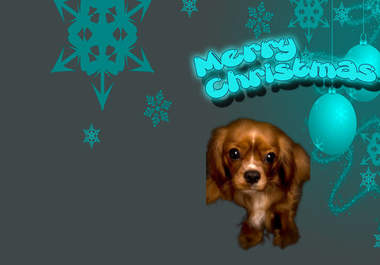 create you Beautiful looking Greeting Cards in Photoshop big2