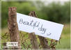 make you 2 creative fan signs small2