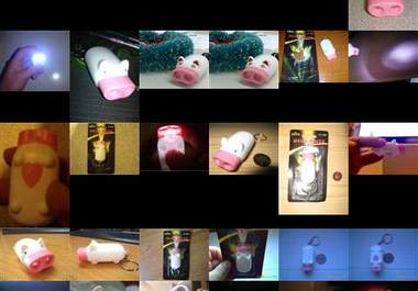 send you a Mini Pig 2 LEDs Flashlight big2
