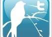 submit your website manually to Twitter then 100 Tweets by 100 real users Having huge followers small2