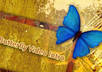 create an Elegant Butterfly Video Intro for your business small2