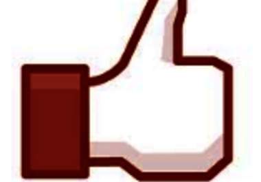 give you 50 Facebook Likes fans in 24 hours big2