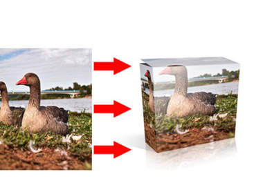 turn A Picture Into A Box Image Graphic big2