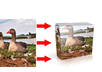 turn A Picture Into A Box Image Graphic small2