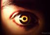 do Any Kind Of Editing Or Professionally Effecting In Photoshop You Want Me To Do Just small2