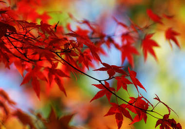 create a 2 or 3 Minute Film or SlideShow that will Help to Instill a Sense of Peace big2