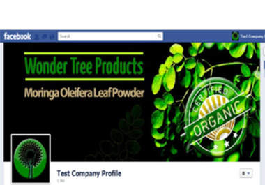 design a professional custom Facebook timeline cover and display image big2