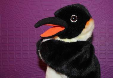 ask Penguino to make a 40 sec video about anything you want eng,esp,de,rus big2