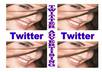add in 24 hours Safely over 500+ Twitter Followers, No Password required, Only your Twitter User Name is needed small2