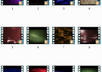 give you 20 Motion Video Background Loops small2
