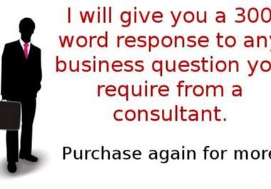 give you indispensable expert consultant class business advice on any question big2