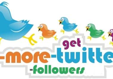 increase 14,444 followers on your twitter account with profile pictures and bio all just big2