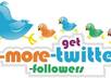 increase 14,444 followers on your twitter account with profile pictures and bio all just small2
