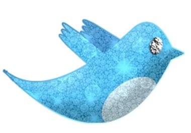 give you an EXCLUSIVE list of 100 Celebrity and Verified Twitter Accounts that Follow Back Followers big2