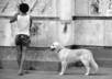 make 5 pictures black and white small2