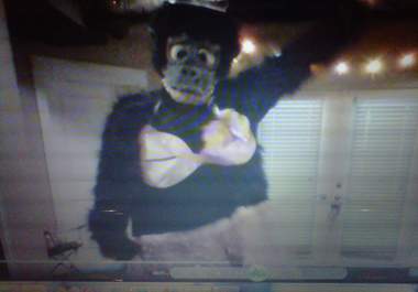 dance in my gorilla costume to any song for 2 minutes big2