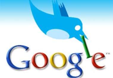 send you 300+ Google Plus +1 Votes from Different US Accounts to push your site high rankings of Google in 24 hours big2