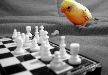 selectively restore the color to any image big2
