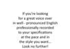 record you a Professional voice over for up to 30 seconds small2