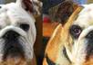 turn your picture into a finely detailed pencil sketch small2