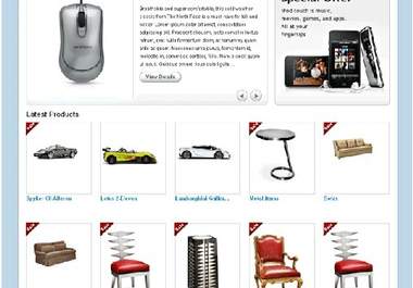 setup/install wordpress  Ecommerce/eshop Online Shop site for you big2