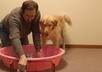 let my DOG choose your lottery numbers small2