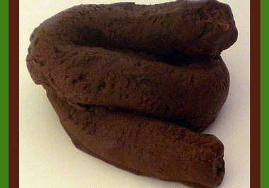 make you a poop soap big2