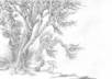 draw a random tree or trees on an envelope or index card and mail it to you small2