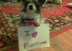 let my dog Biscuit hold a sign with your message on it small2
