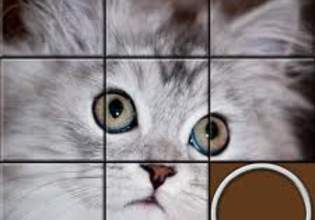 alt_text.html_safe