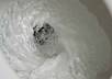 make your domain name flush out of my toilet with style small2