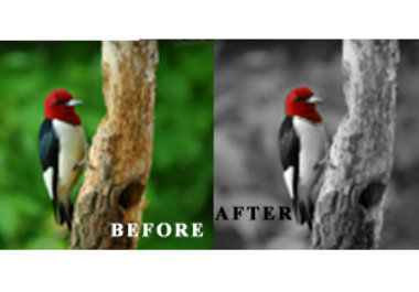 make this cool photo effect from your existing color picture big3