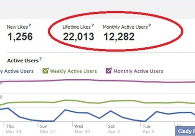 show you the SECRET to getting 500 to 1000 facebook fans per day big3