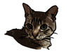 make a colorful cartoon portrait of your pet small3