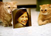 create a beautiful image of two cute kittens holding your portrait photo small3