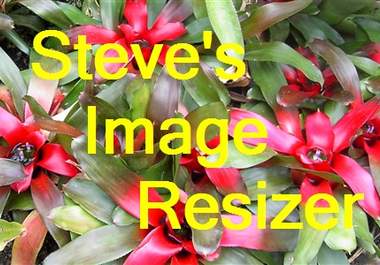 give you Software to Create Web Images with Text from Your Pictures big3