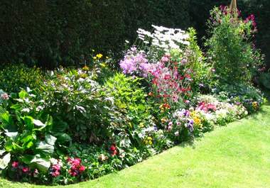 give you the complete guide to growing anything in your backyard big3